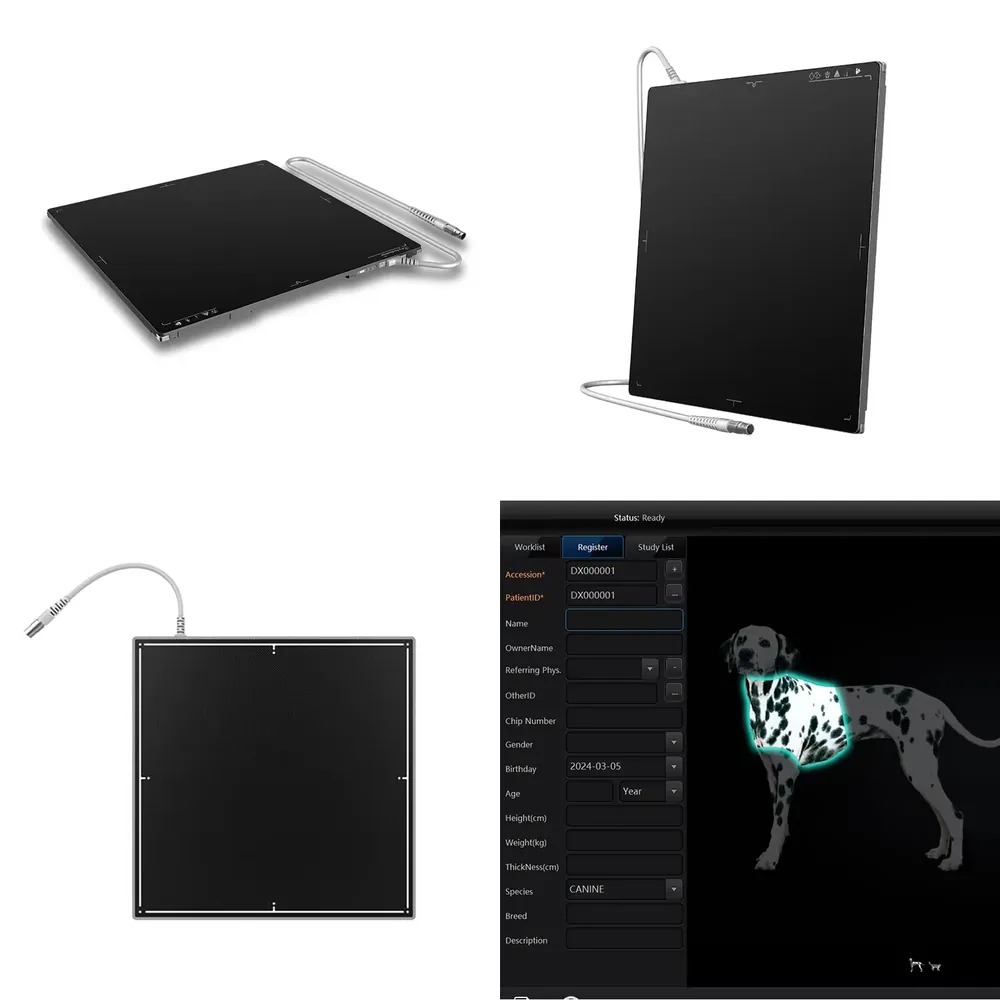 X Tech Accessories - 핫세일 1717인치 AEC 테크 카레이 브랜드